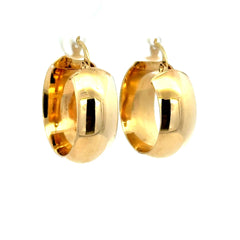 Earrings Fancy Hoops 21.5 8.5mm 10K