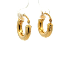 Earrings Fancy Hoops 17.5 4mm 10K