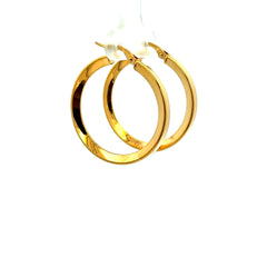 Earrings Plain Hoops 31.5 2.5mm 10K