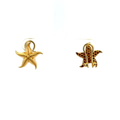 Earrings Omega Lock 23 23mm 10K
