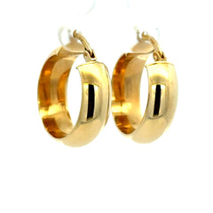 Earrings Fancy Hoops 21.5 8.5mm 10K