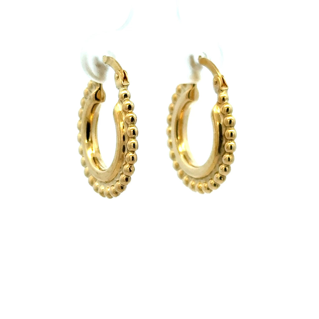 Earrings Fancy Hoops 20 2.5mm 10K