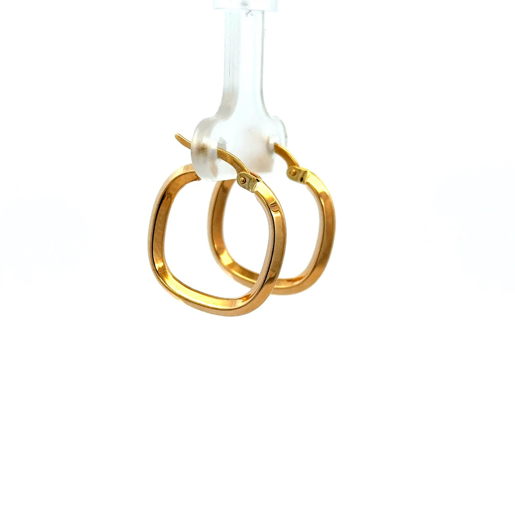 Earrings Fancy Hoops 21 2.5mm 10K