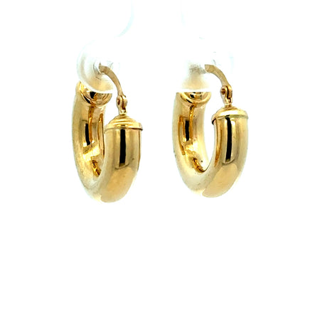 Earrings Fancy Hoops 20 4mm 10K