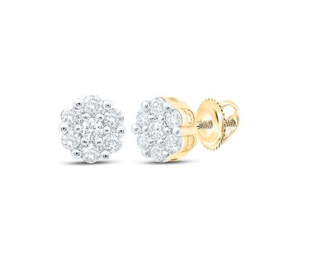 10kt Yellow Gold Womens 1/2CTW-NAT DIA P1N GIFT FLOWER EARRING