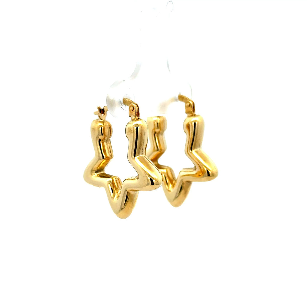 Earrings Fancy Hoops 25 4.5mm 10K